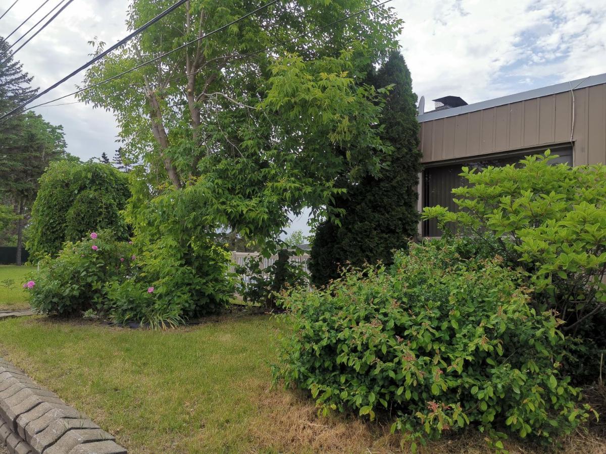 Motel Sainte Catherine ภายนอก รูปภาพ