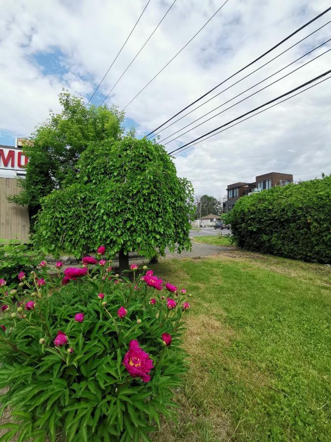 Motel Sainte Catherine ภายนอก รูปภาพ